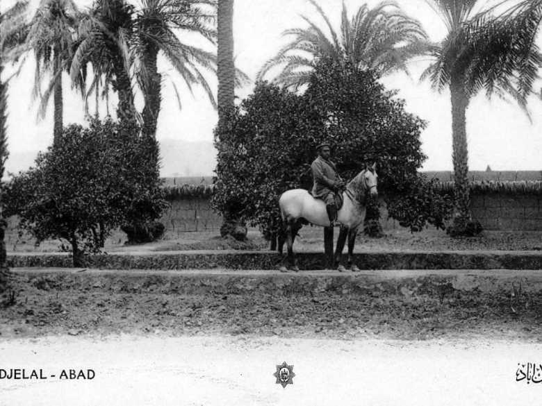 Monté sur son cheval blanc l'émir Habibullah Khan (1872-1901-1919), fils de l'émir Abdur Rahman Khan (11.1.1), dans le jardin d'un palais à Jalalabad.